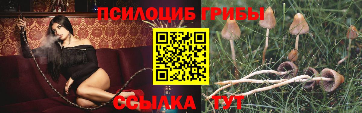 Саранск  Псилоцибиновые грибы GOLDEN TEACHER  Вход с VPN 